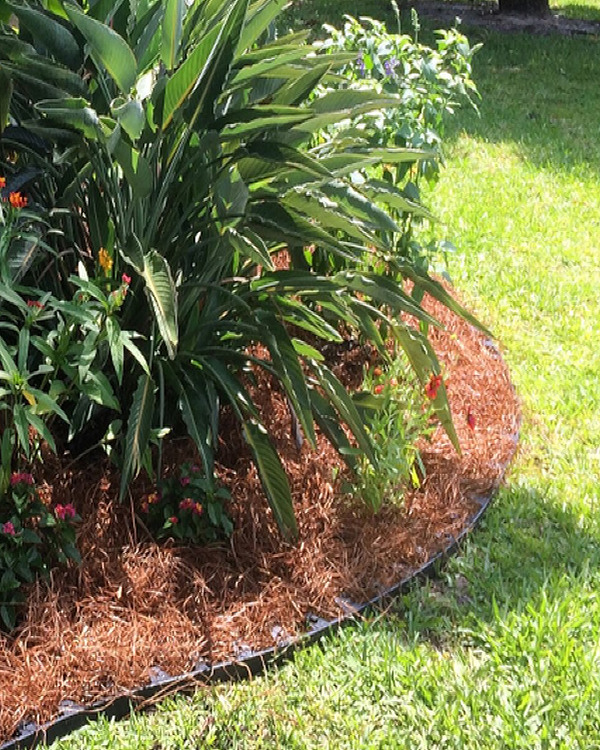 mulch landscaping border
